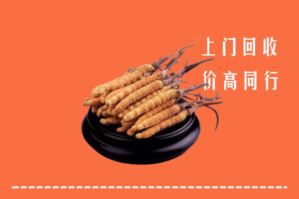 高价求购：晋江市回收散虫草