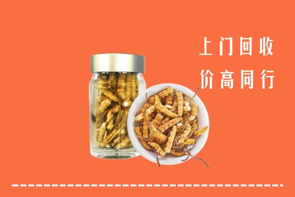 晋江市回收冬虫夏草