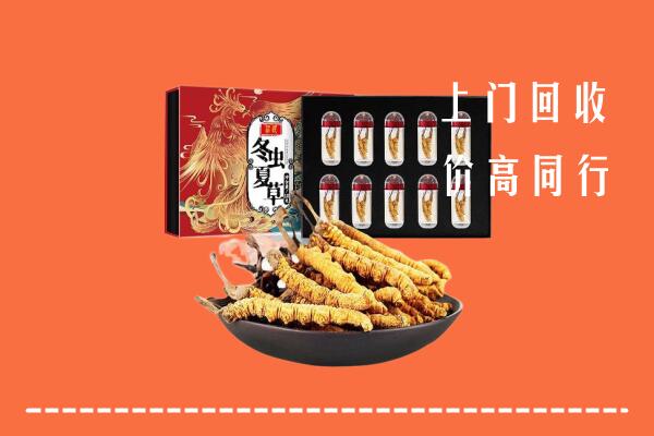 晋江市回收虫草